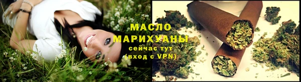 индика Арсеньев
